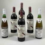 6 bouteilles VINS d' ESPAGNE - BODEGAS LALANNE 4 Somontano...