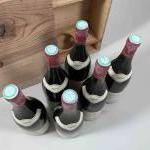 6 bouteilles MERCUREY "Clos des Grands Voyens" - Jeanin Nolet...