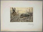 Léon DANCHIN (Lille, 1887 - Bergues, 1938)
Lièvres au gîte
Lithographie en...