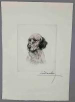 Léon DANCHIN (Lille, 1887 - Bergues, 1938)
Portrait d'un setter anglais...