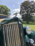 PACKARD SUPER 8 CAB, 1936
1ère mise en circulation : 30/06/1936
Genre...