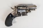 REVOLVER BULL DOG calibre 320.
Ouverture de la plaque de recouvrement...