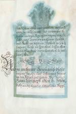 LETTRES patentes [Autriche-Hongrie - Noblesse]     ...