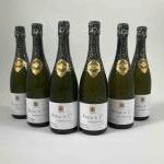 6 bouteilles CHAMPAGNE AYALA "Chateau de AY" Extra quality brut