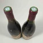 2 bouteilles HAUTES COTES DE BEAUNE - NAUDIN FERRAND 1988...