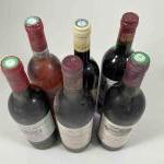 6 bouteilles BORDEAUX DIVERS1 Ch. MARBUZET - Saint Estephe 1995,...