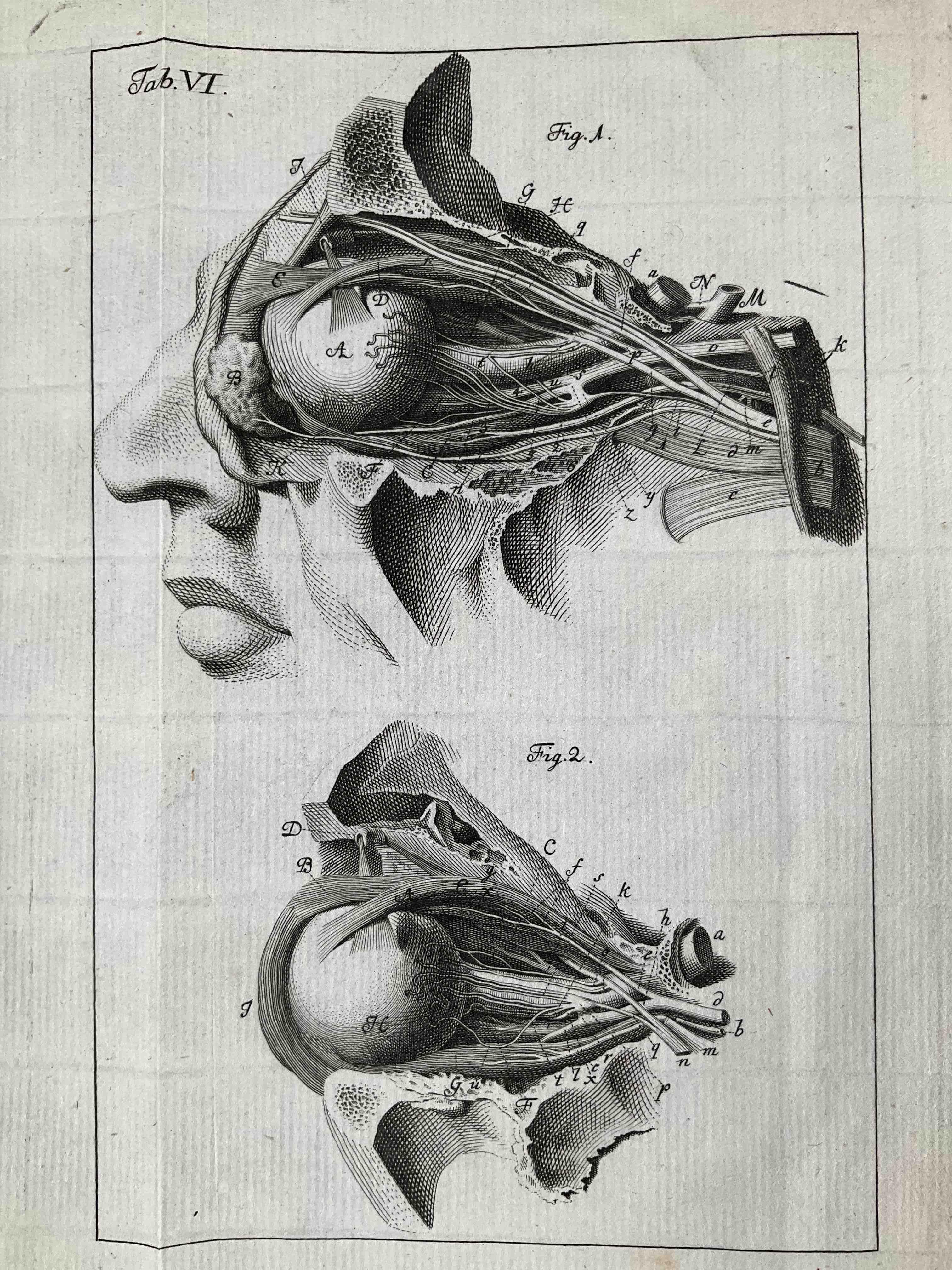 [Ophtalmologie] Johann Gottfried Zinn, Descriptio anatomica oculi humani iconibus illustrata.
Göttingen,...
