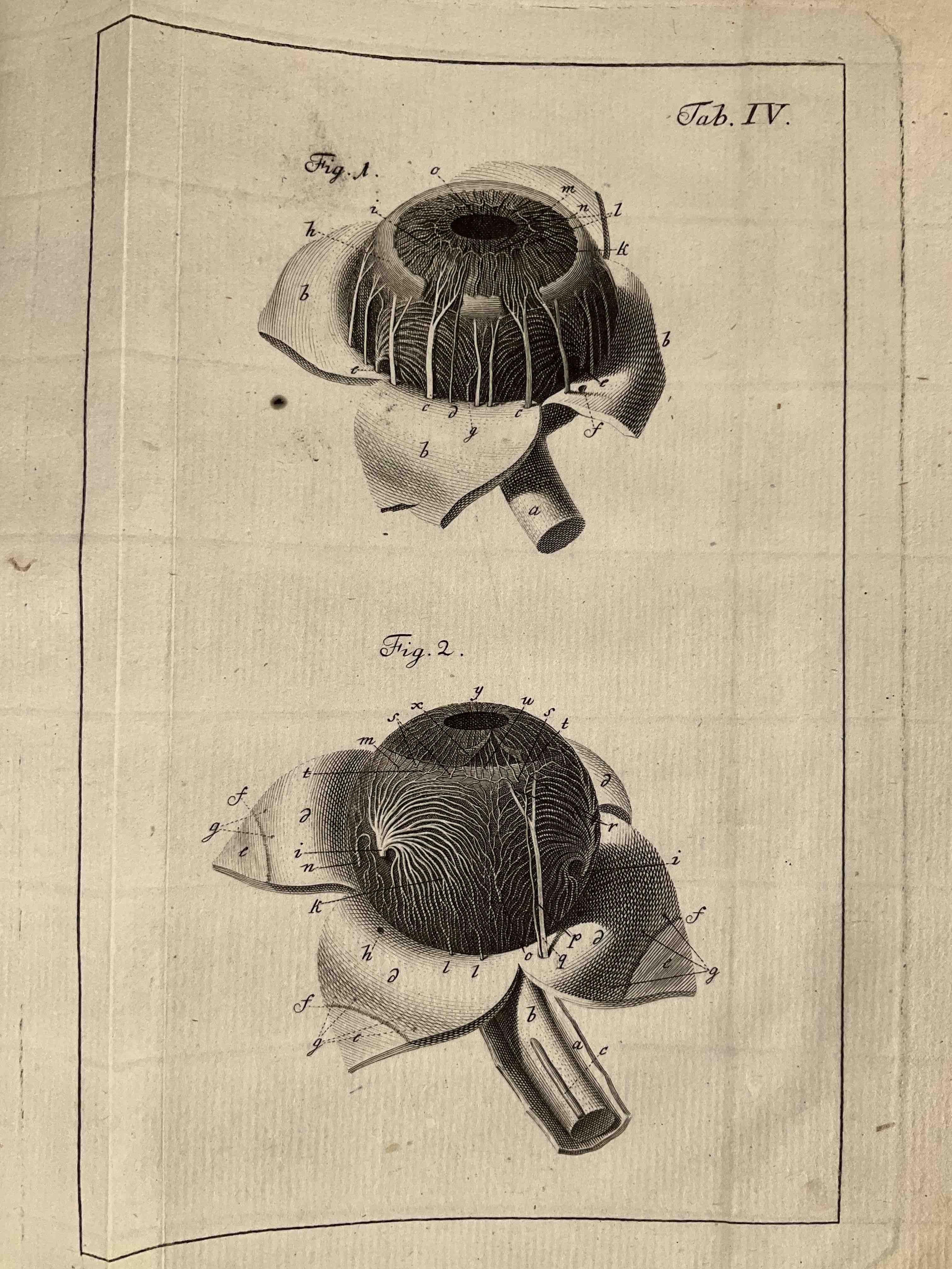 [Ophtalmologie] Johann Gottfried Zinn, Descriptio anatomica oculi humani iconibus illustrata.
Göttingen,...