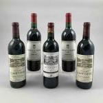 5 bouteilles BORDEAUX DIVERS  :2 Château DU TERTRE -...