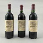 3 bouteilles BARON de MILON - 3e vin du CHATEAU...