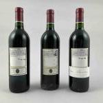 3 bouteilles BARON de MILON - 3e vin du CHATEAU...