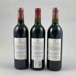 3 bouteilles Château D'ARMAILHAC - 5ème Gcc Pauillac 1992 et...